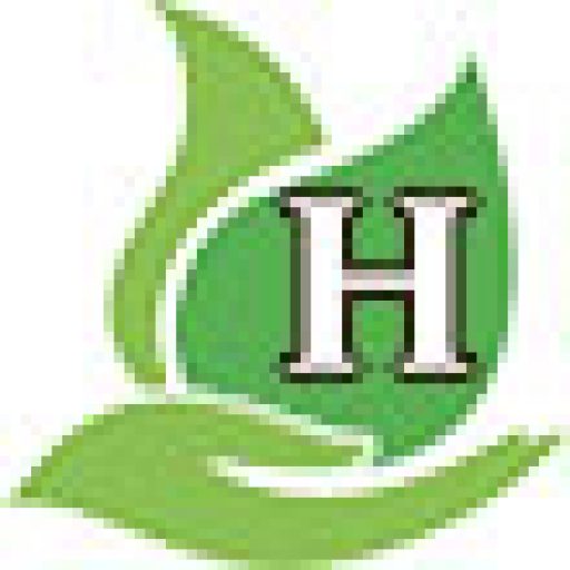 Hamak Dienstleistungen Logo