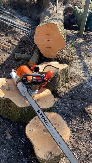 Gartenbau und Landschaftspflege Hamburg – Hamak Dienstleistungsservice