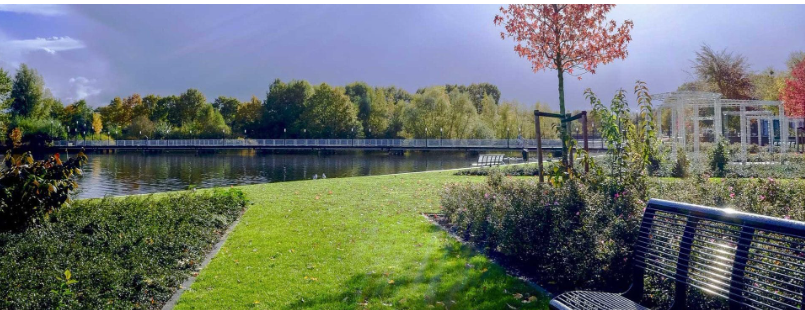 HAMAK Gartenpflege & Flächenreinigung in Hamburg
Kreative Gartenpflege, Winterdienst & Reinigungsservice – Alles aus einer Hand!